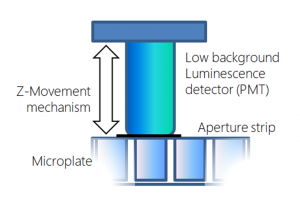 Direct luminescence is performed from photomultiplier tubes
